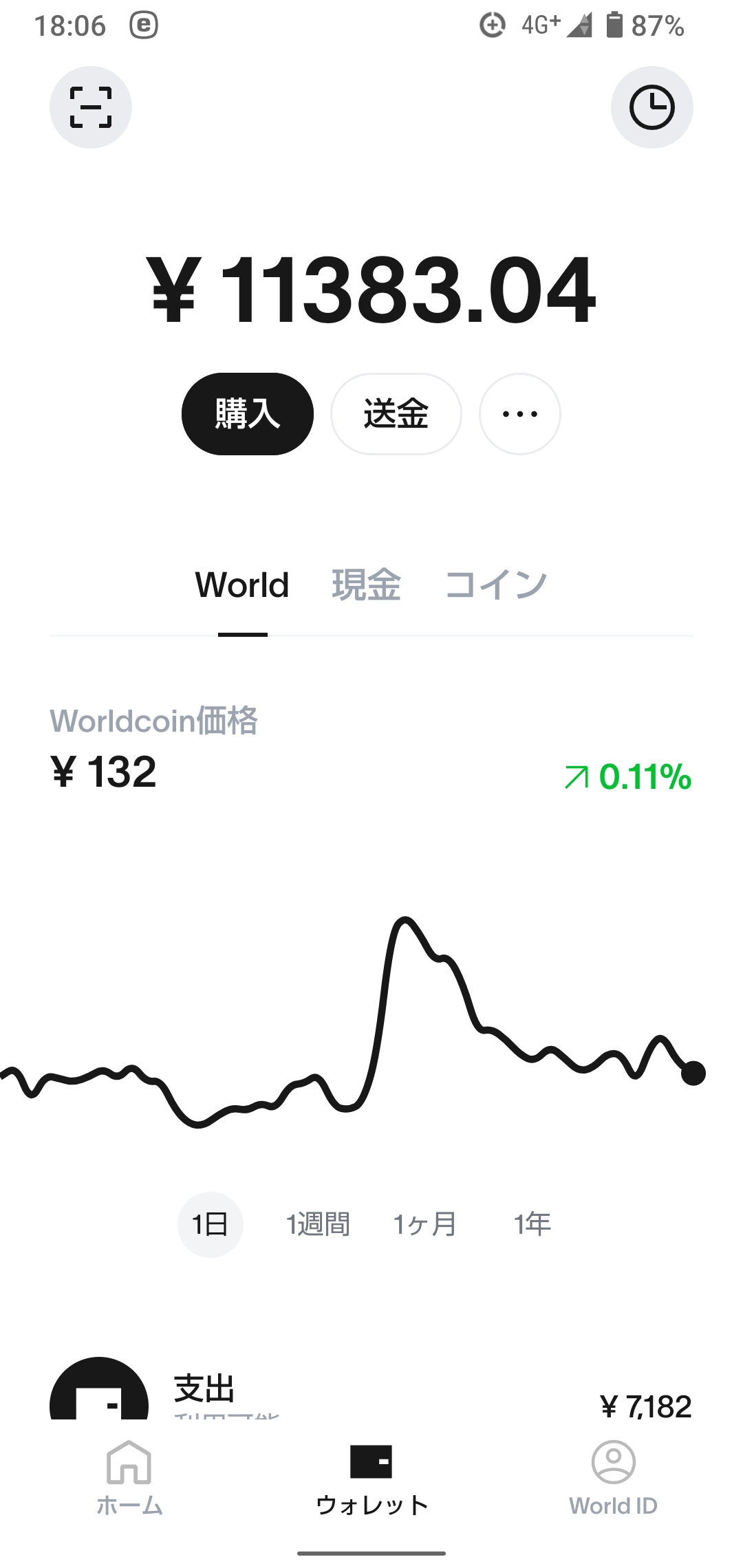 528something-report2506-04worldcoin